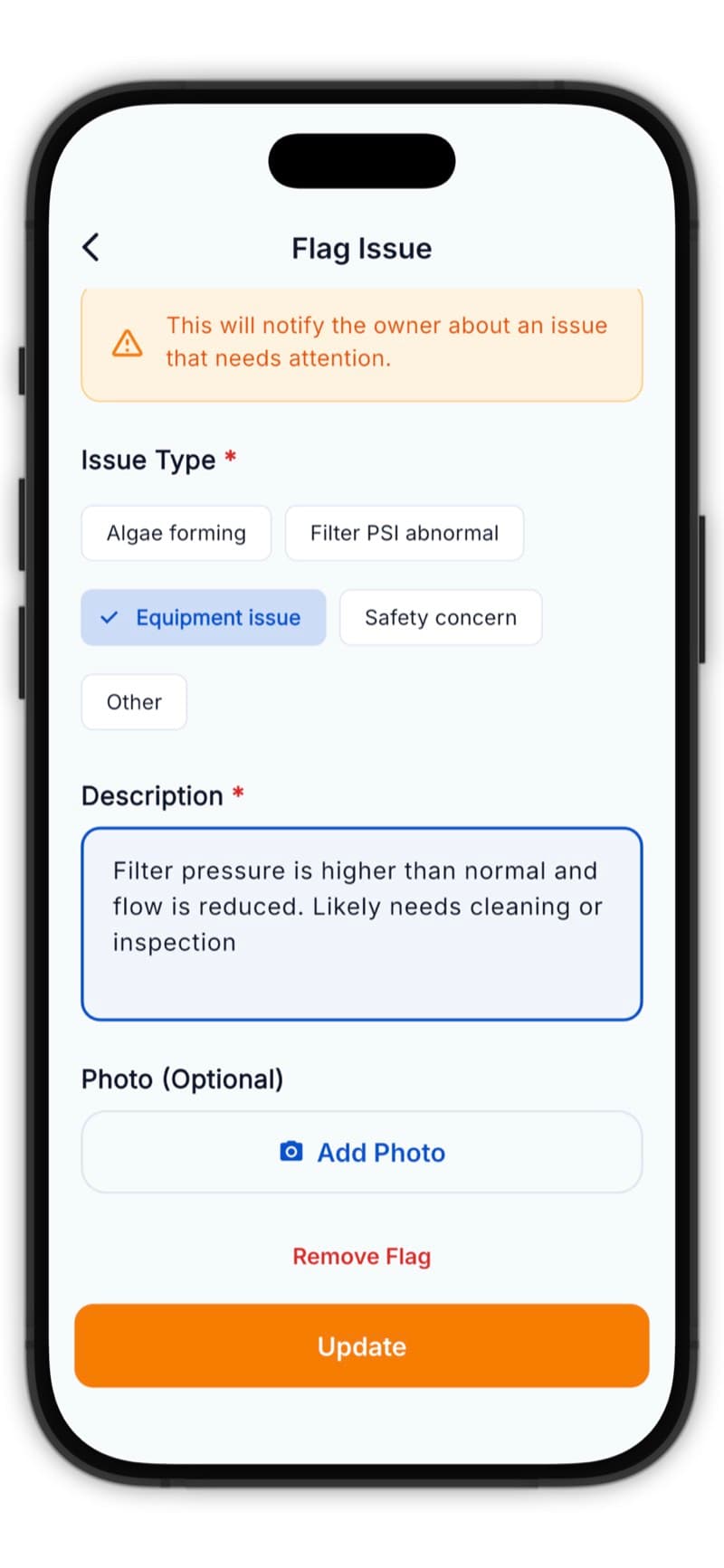 Flag issue screen with description