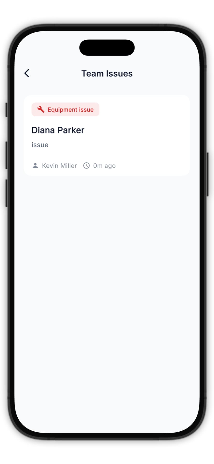 Team issues list showing flagged problems